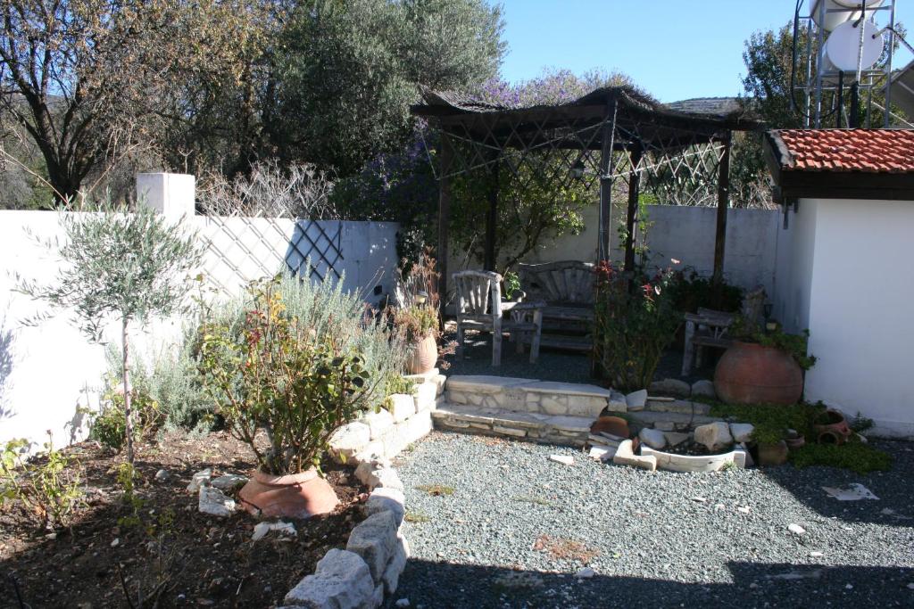 The Spidaki photo 4