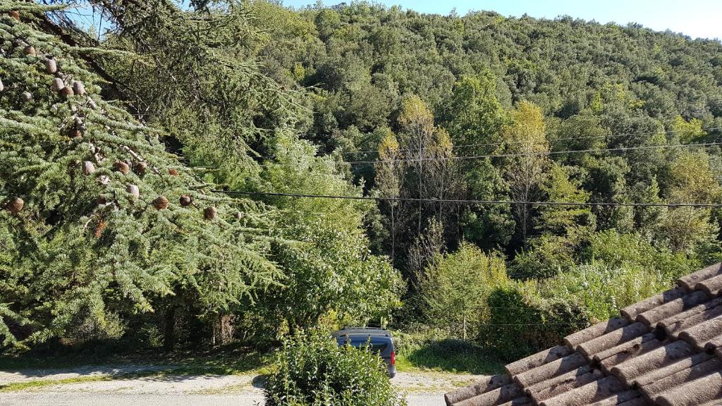 Le Clos du Cèdre photo 4