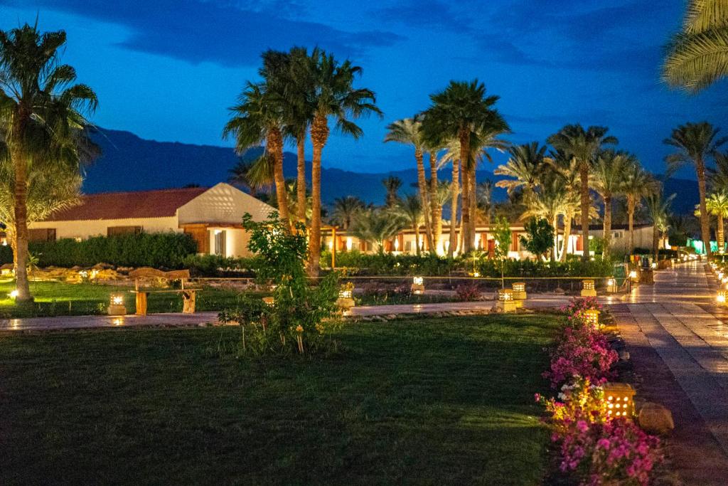 Nuweiba Club Resort photo 2