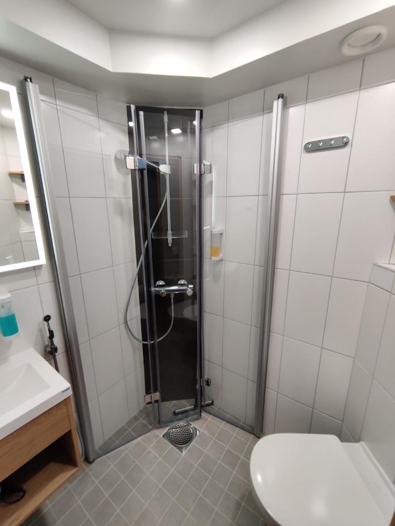 Одноместный (Стандартный одноместный номер), Hotelli Toivola