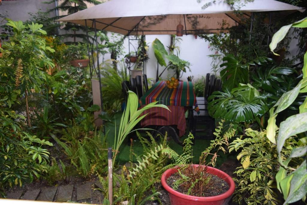 Quilla House Ecologico photo 4