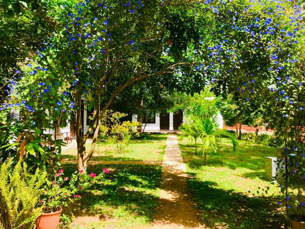 Hotel First Kingdom - Anuradhapura photo 1