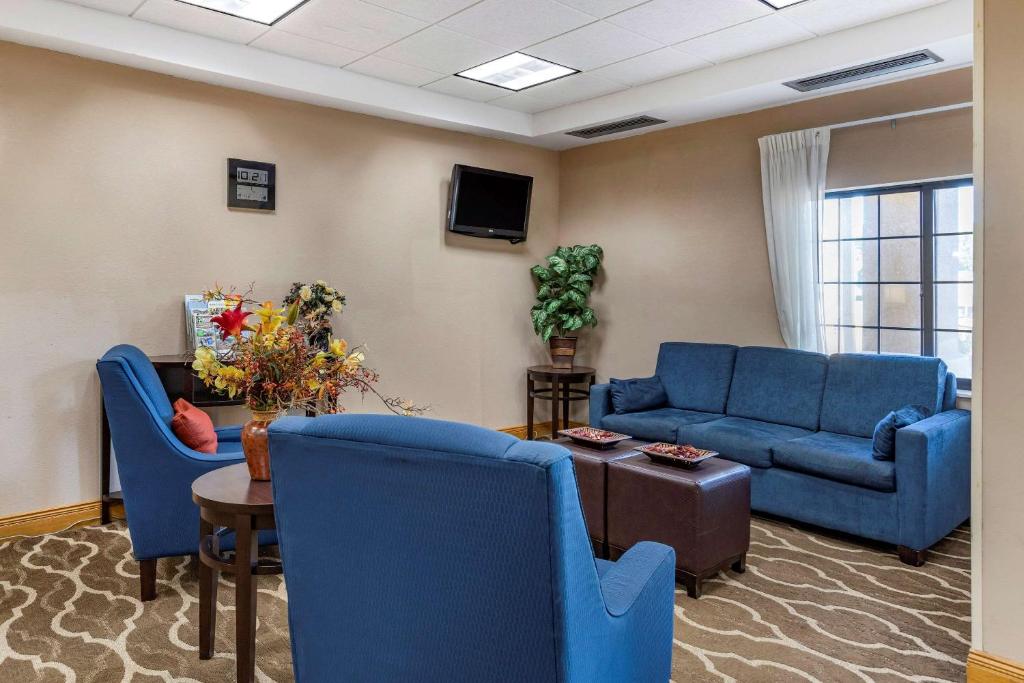 Comfort Inn Downtown - University Area photo 2
