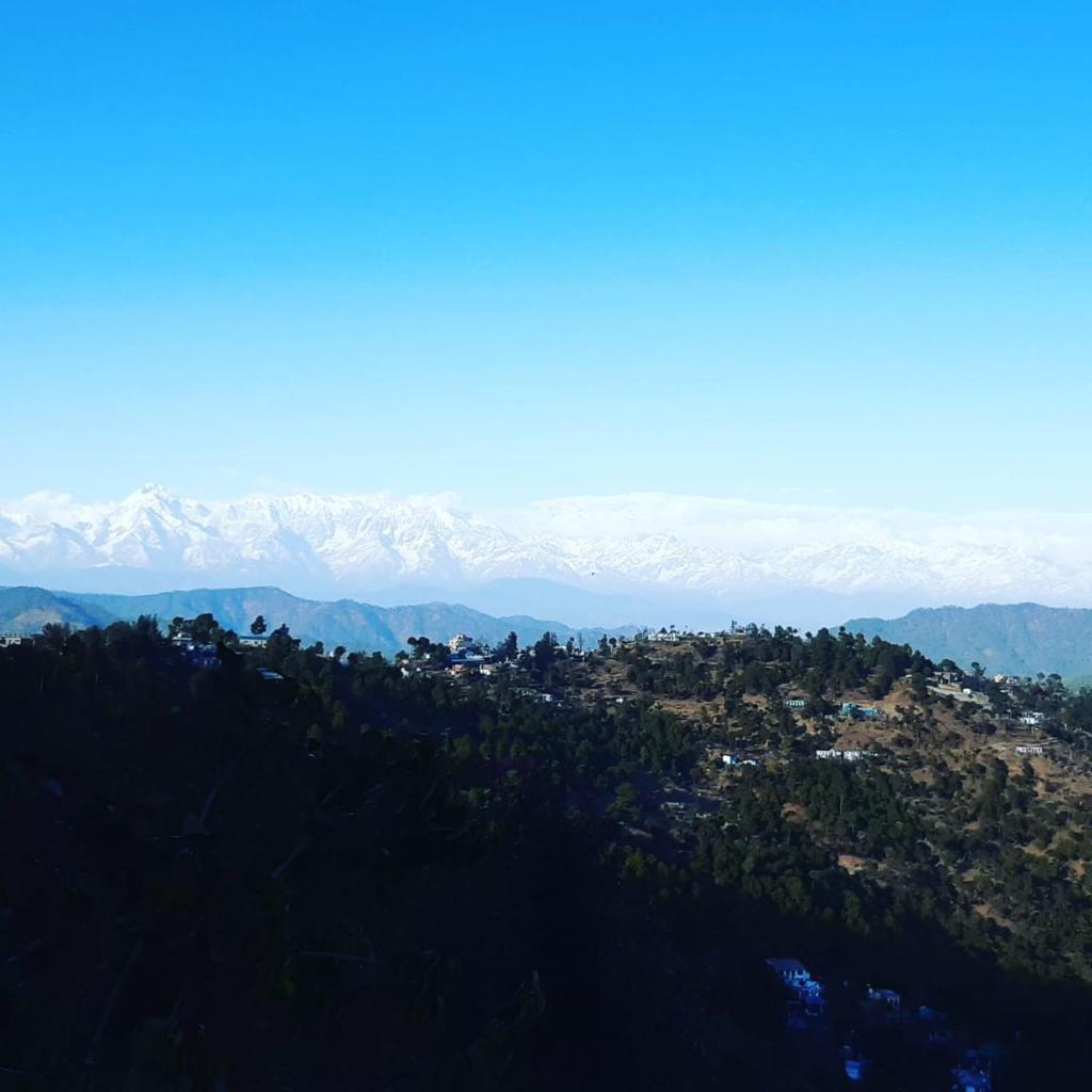 Boros Resorts Binsar photo 3