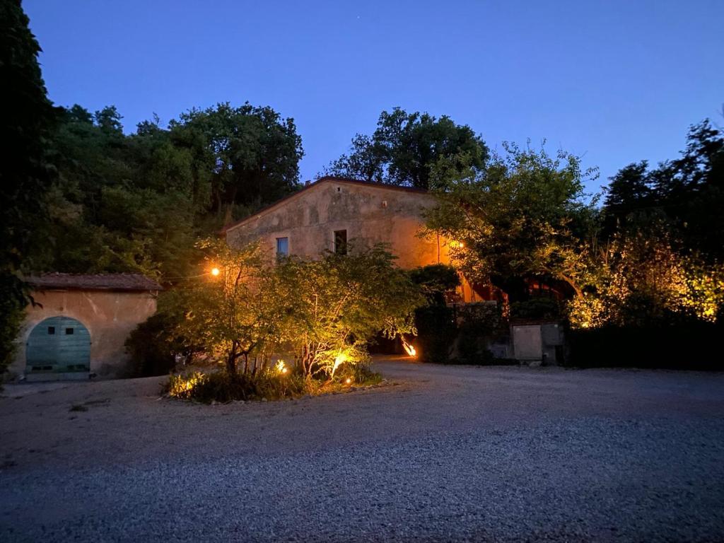 CASA468 photo 3