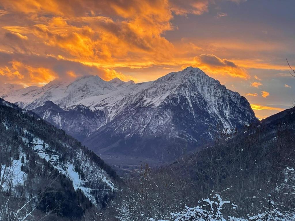 La Tanière photo 3