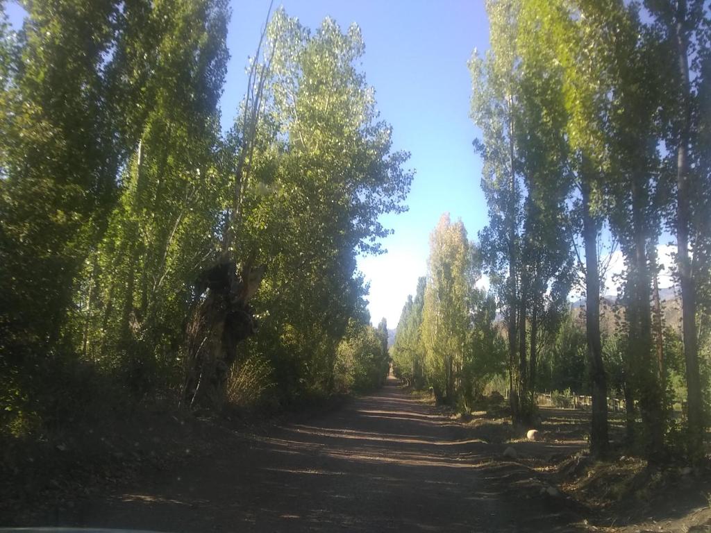 CABAÑA.Manzano histórico. Paz y montaña photo 2