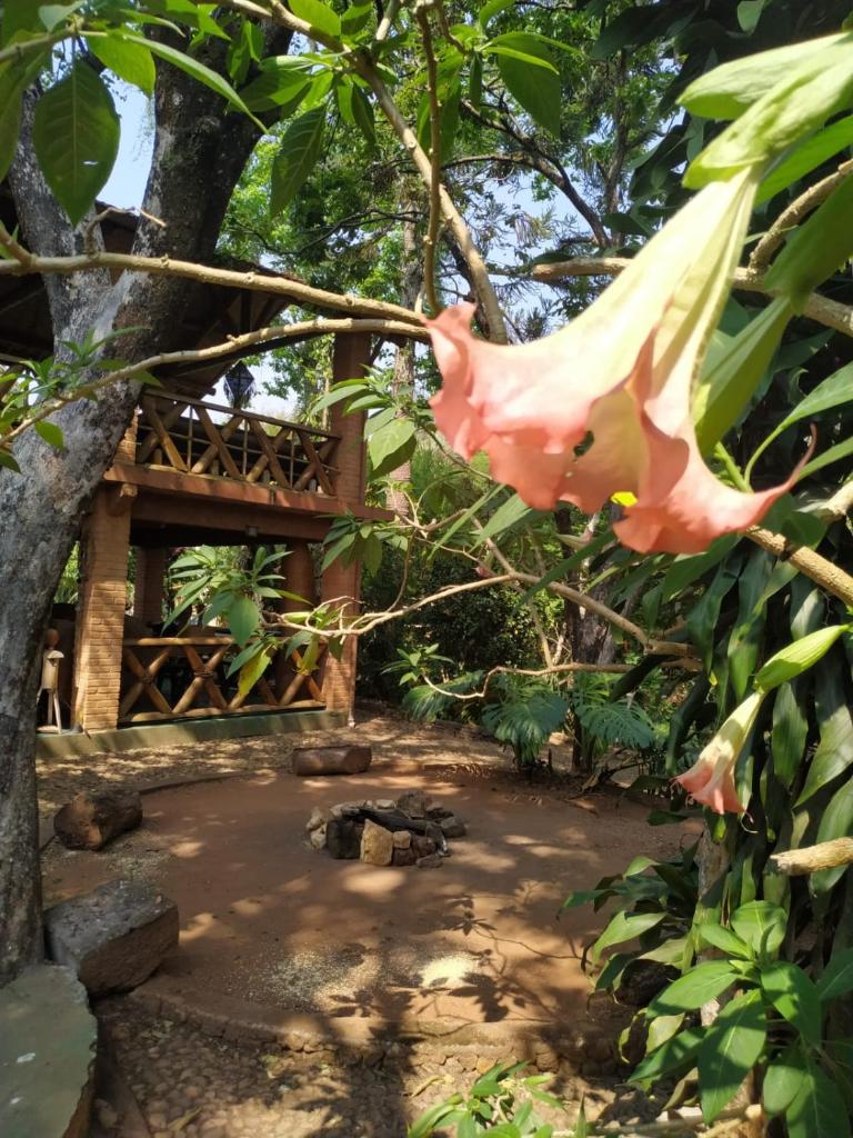 Pousada Recanto dos Anjos photo 2