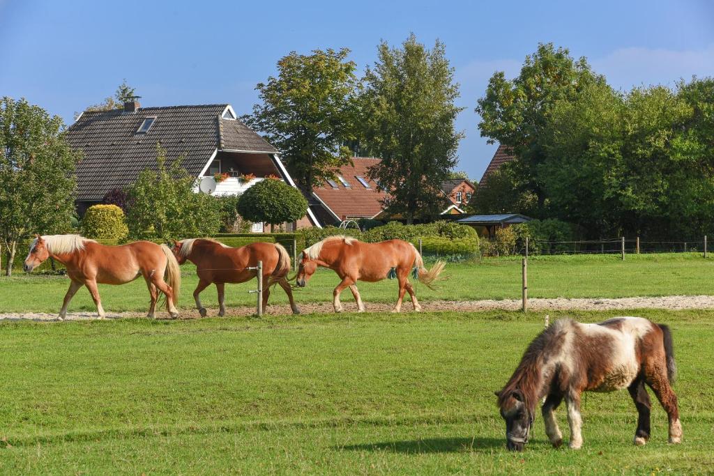Ferienwohnung auf dem Ferienhof „Zur alten Linde“ photo 1