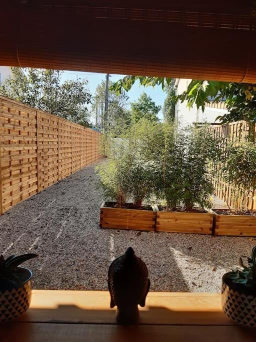 Un jardin en ville photo 2