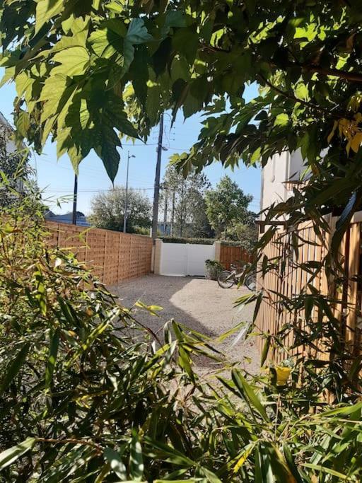 Un jardin en ville photo 3