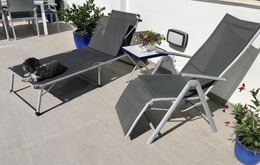 Impresionante Apartamento con terraza de 100 m2 photo 3