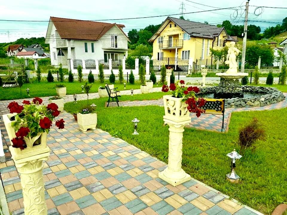 Pensiunea Casa Albă photo 2