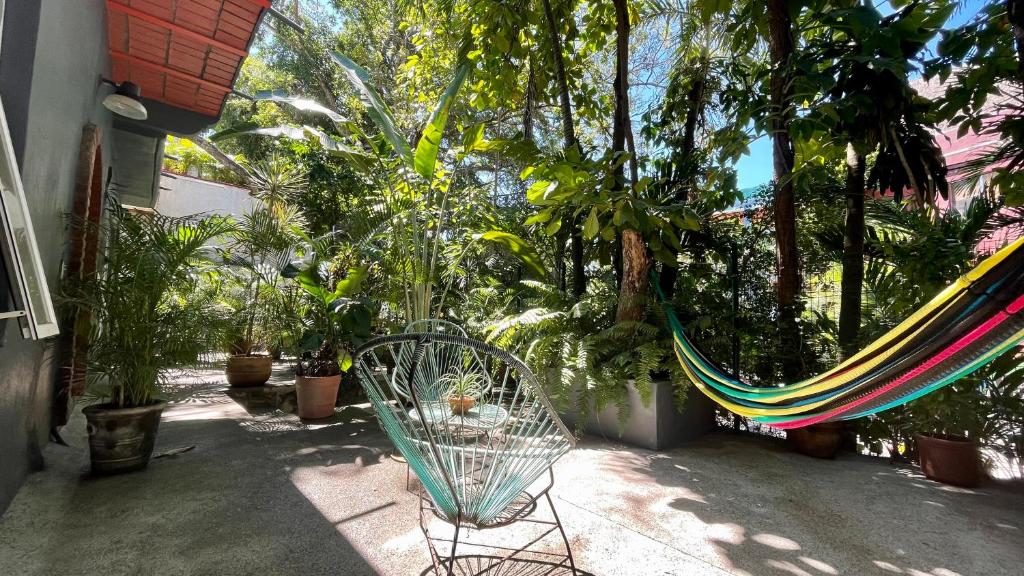 Apartamento Parota # photo 3
