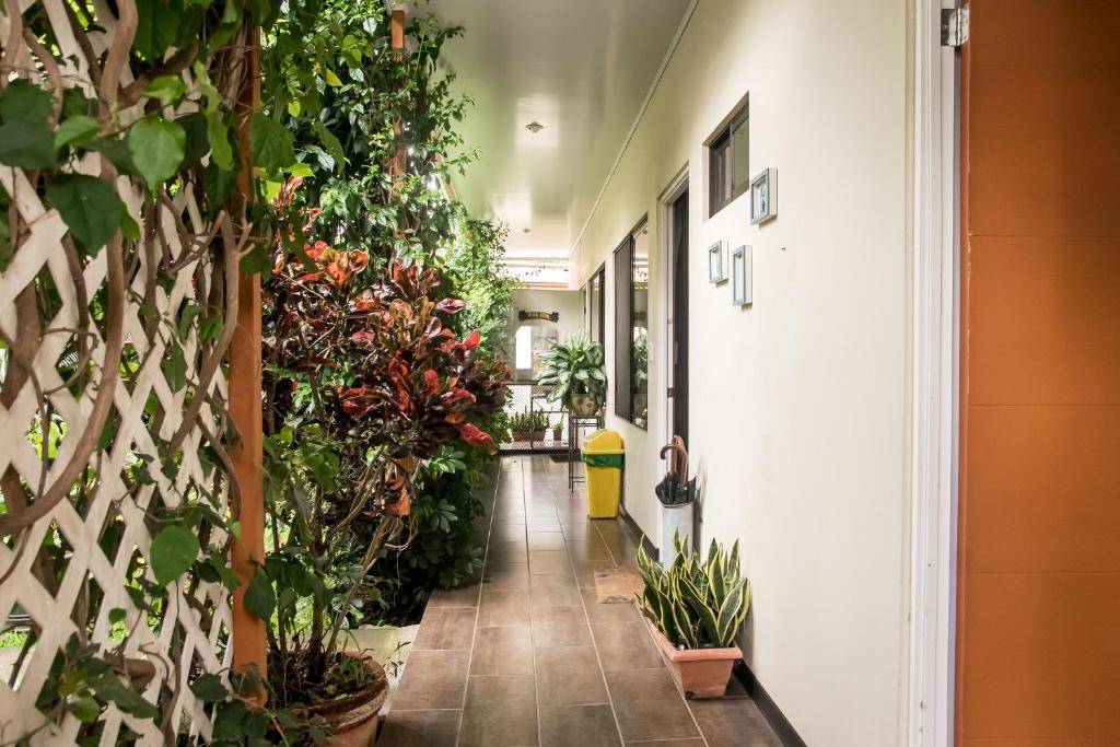 Terida Airport B&B photo 4