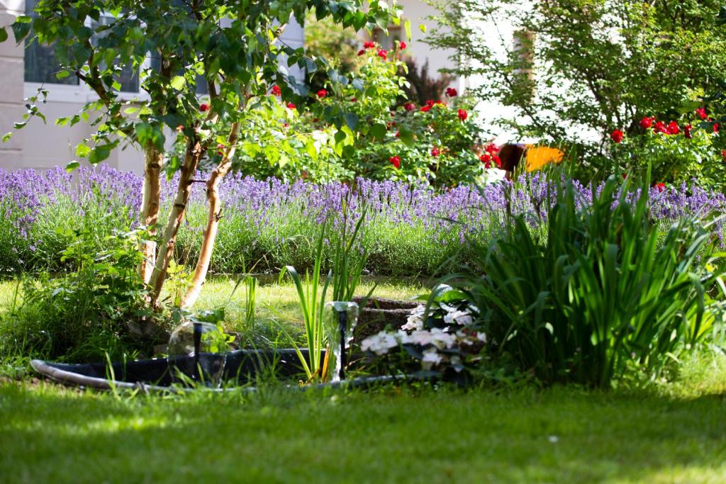 Hotel Lindenhof Bad Schandau photo 3