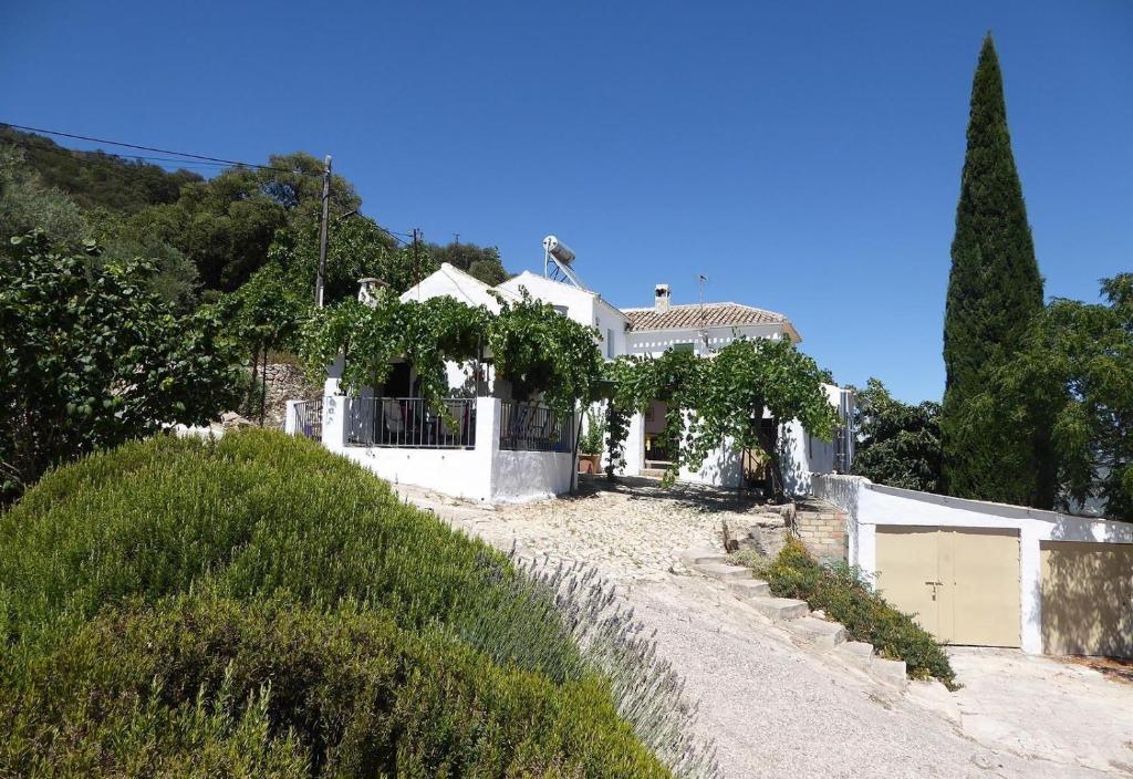 Casa del Pino photo 4