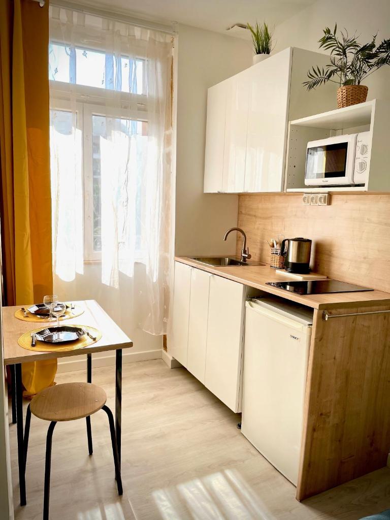 STUDIO VAISE 3 CENTRE à LYON 69009 photo 3