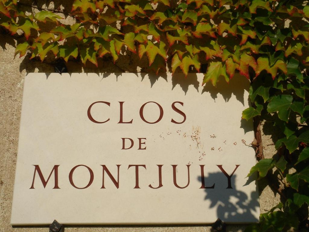 Clos de Mont July, architecture XVIIIe au cœur de la nature photo 2