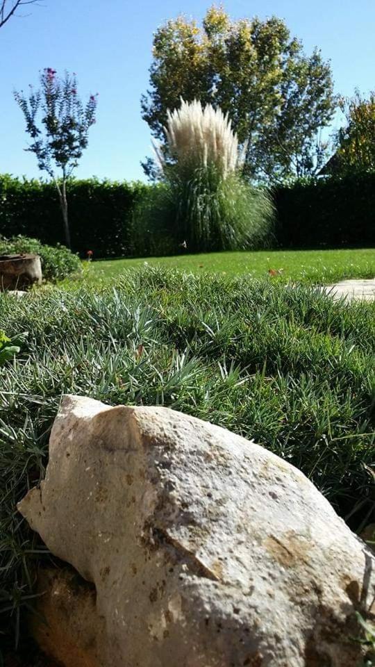 Apartman Corluka Grude photo 2