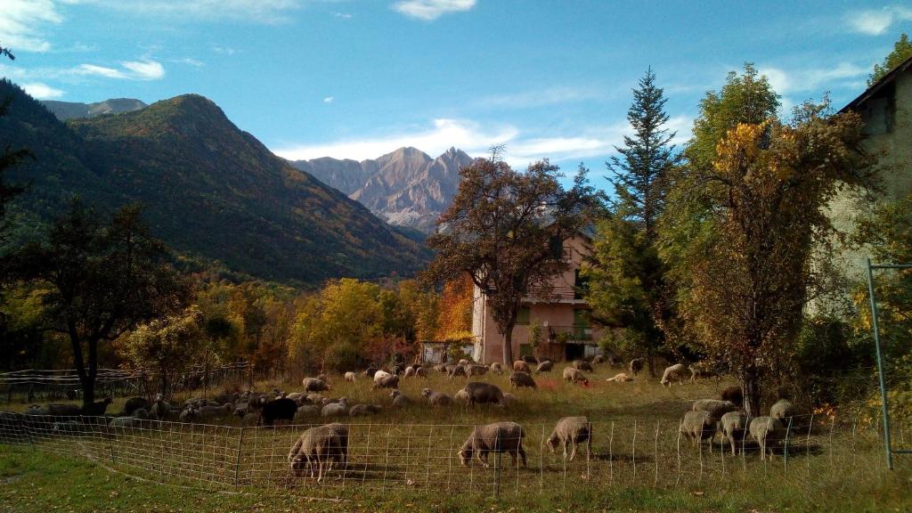 Le Relais des Cavaliers - Thumbnail image