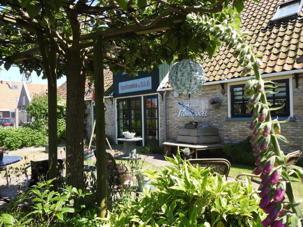 De Stormvogel photo 2
