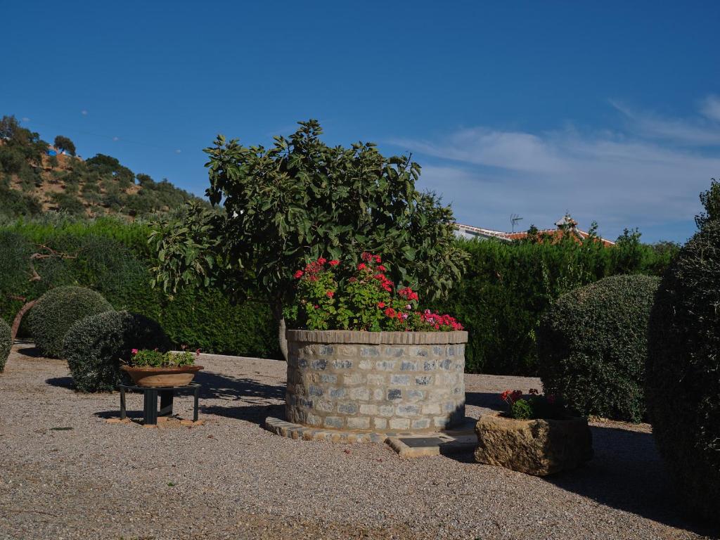 VILLA BASILIO photo 3