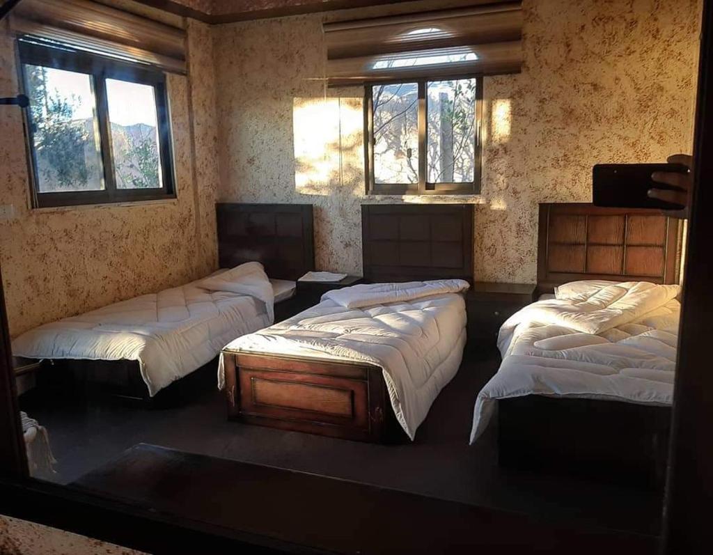 Petra Bedouin house 1 photo 1