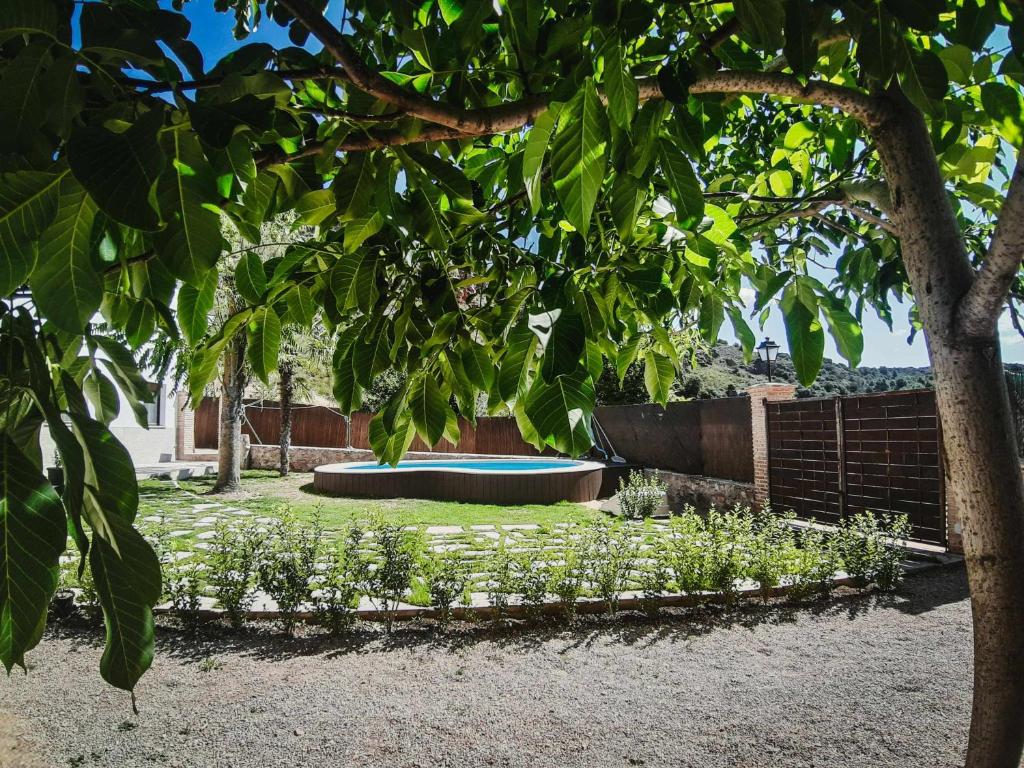 Casas Rurales Tía María photo 2