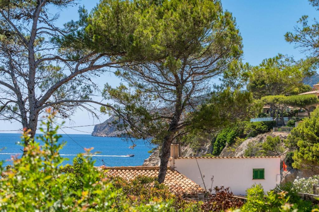 3001 Schöne Villa am Meer in Sant Elm photo 2