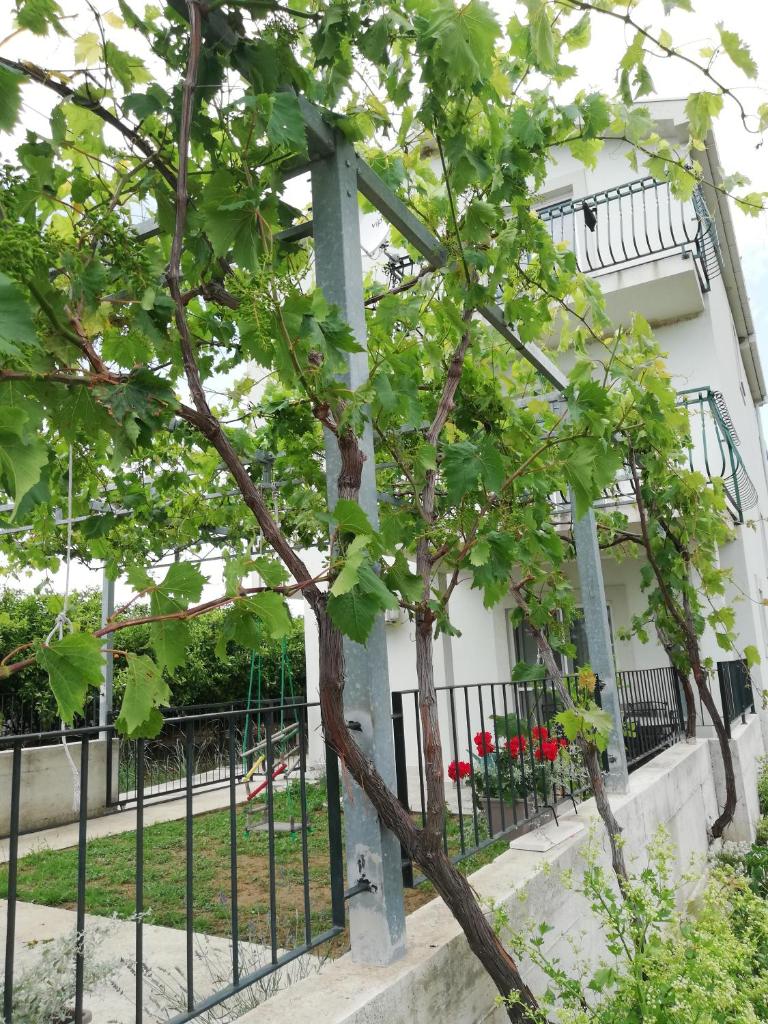 Holiday Home Riverside photo 4