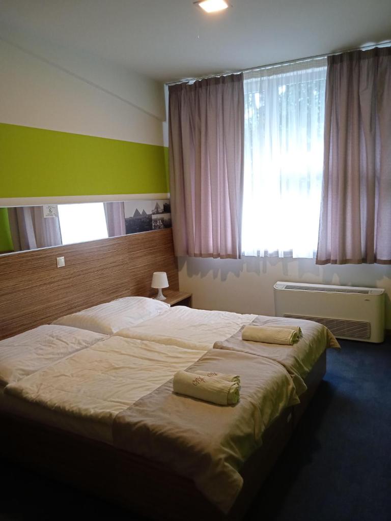 Двухместный (Двухместный номер эконом-класса с 1 кроватью), City Hotel Košice