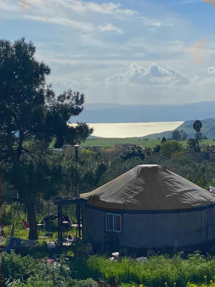 Yurt