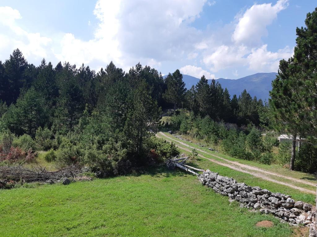 Mountain house Karla Blidinje photo 2