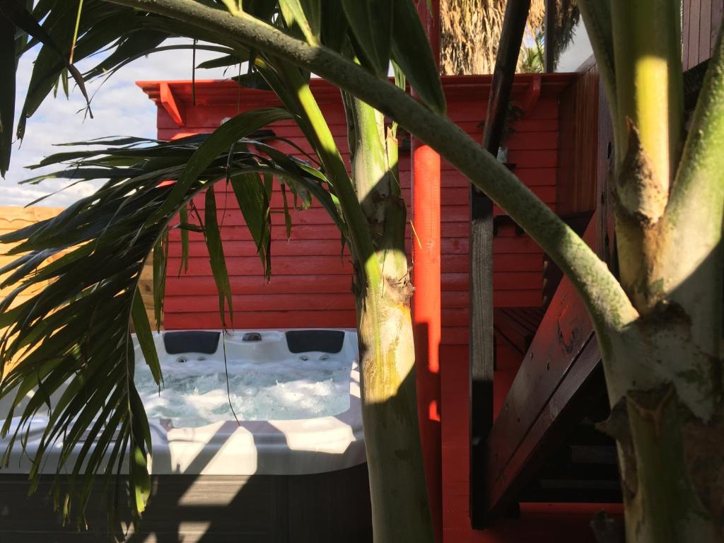Piton Bungalows Ecolodges photo 1