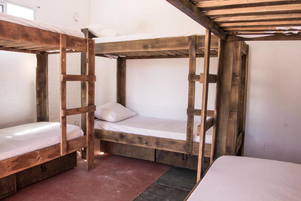 Negrita Hostel photo 3