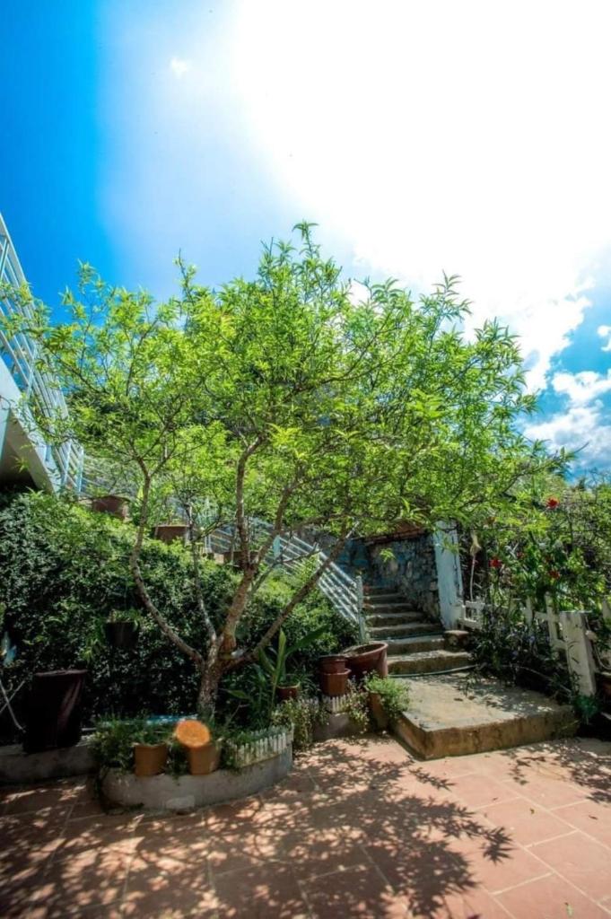 Airi Villas Ba Vì Venue Travel