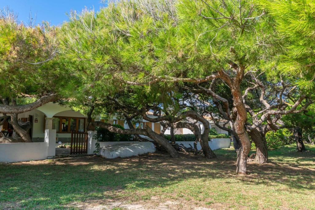 Villa Franciscus photo 4
