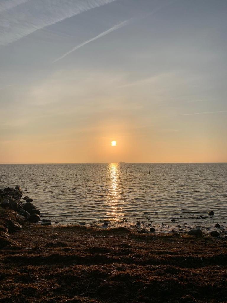 Strynø Living photo 4