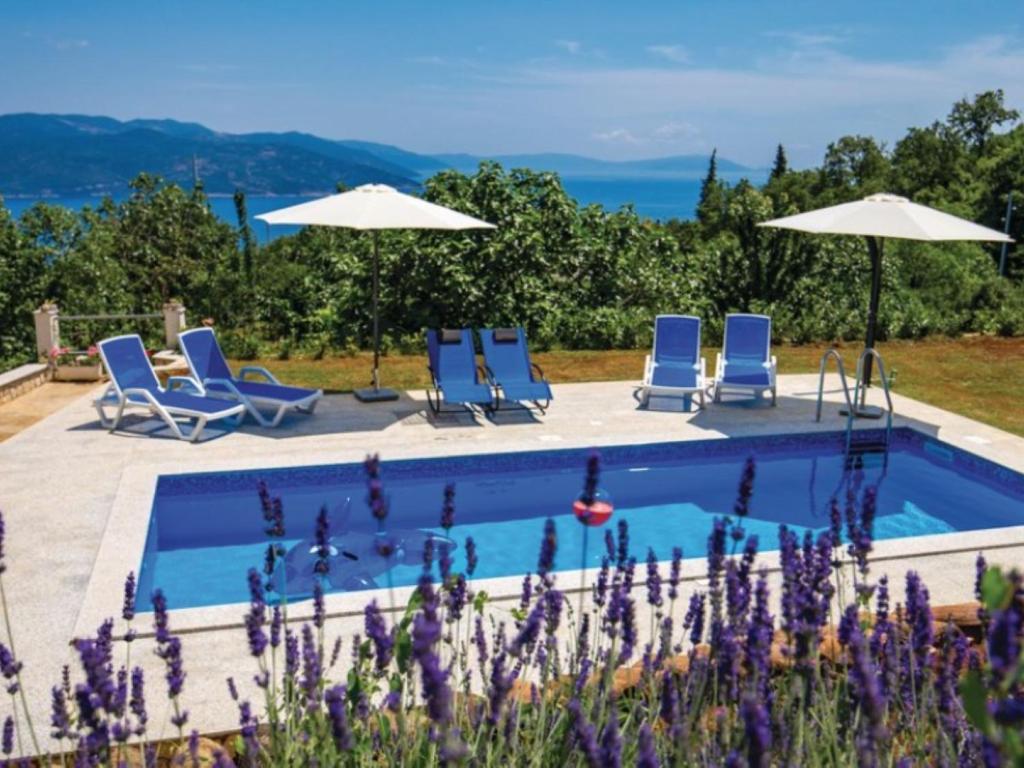 Apartment Rea with Pool photo 1