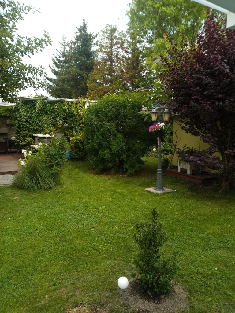 Ferienhaus Baldamus in Blankenburg photo 3