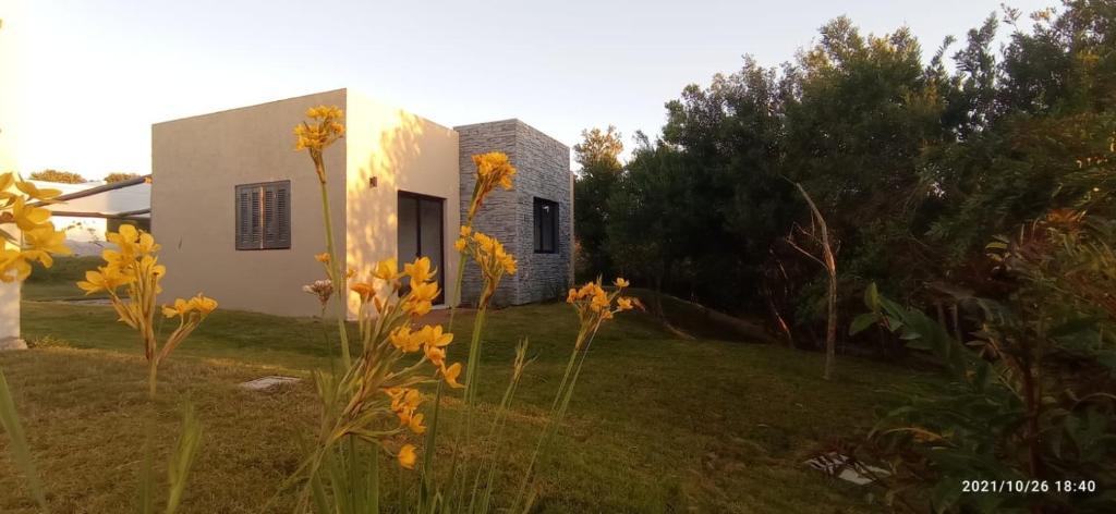 Arazá photo 2