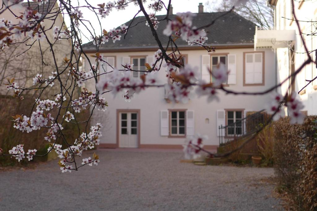 La Maison Carré photo 4