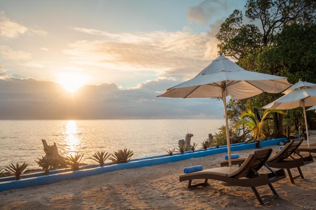 Moja Tuu The Luxury villas & Nature Retreat photo 3