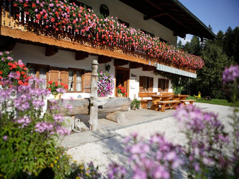 Pension Mooserlehen photo 1