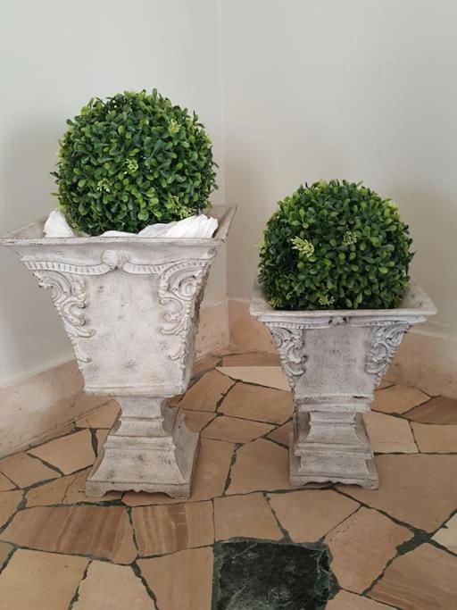 FraiFiori locazione breve photo 4