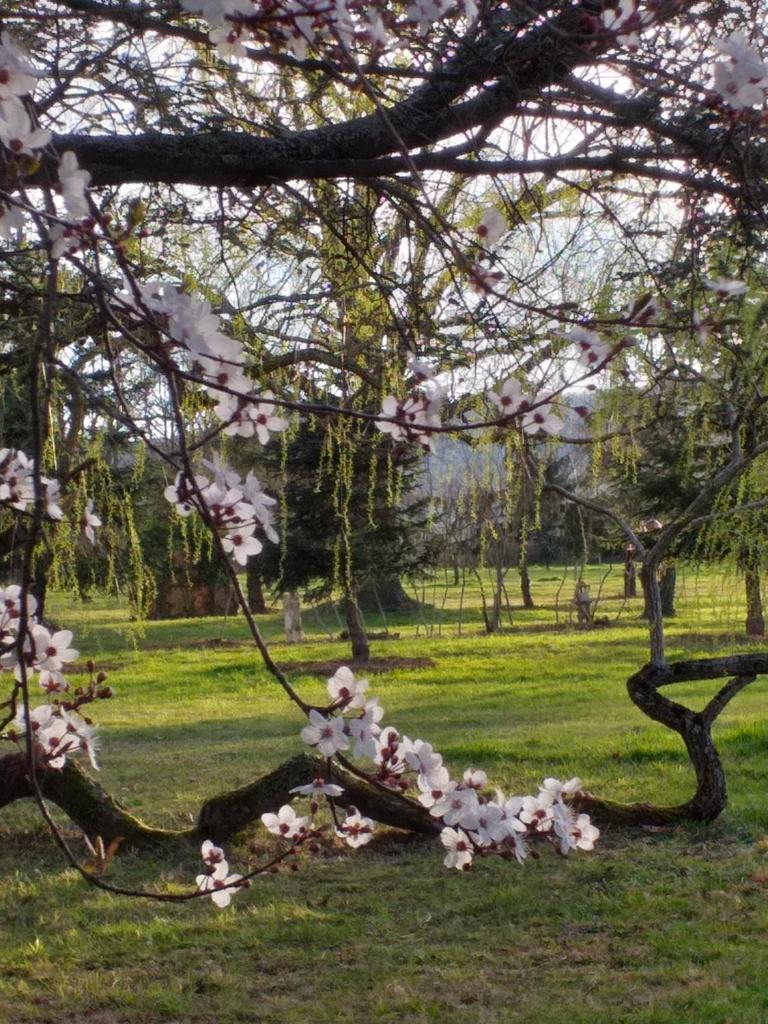 DOMAINE BERENGUER photo 4