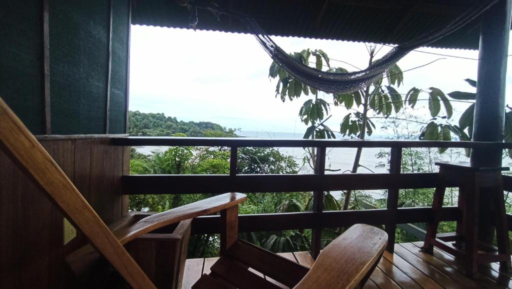 Corcovado Forest Rental and Tours Drake Bay photo 1