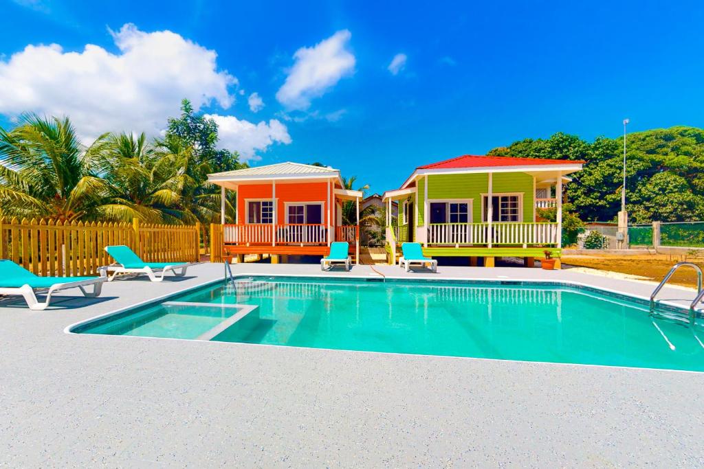 Bella at Hummingbird Estate Gold Standard Certified photo 3