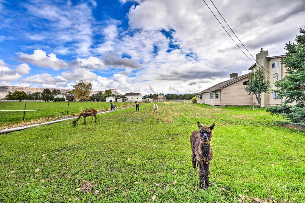 The Vineyard Country Farm Home at Grand Valley photo 1